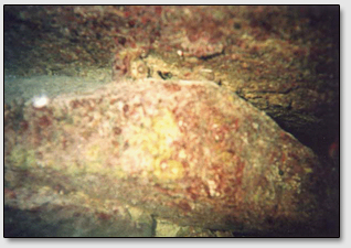Каменный клин (в центре) находящийся под одной из плит "Дороги Бимини".