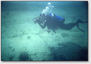 Грэг Литтл делает подводные снимки открытой им и его женой "Платформы Андроса".