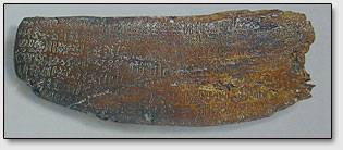 Дощечки с письменностью ронго-ронго (Rongorongo) - образец туземной письменности острова Пасхи.
