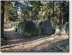 Гробница великанов гюнов на севере Германии возле деревни Барендорф