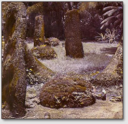 Остатки "каменных бокалов" на острове Гуам.