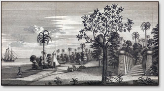 Остров Тиниан, иллюстрация Ричарда Вальтера из его книги "Путешествие вокруг света" [Voyage Autour du Monde, 1750].