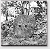 Некоторые каменные круги на острове Яп имеют два отверстия, а не одно.