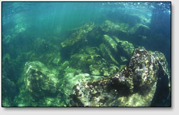 Стены Нан-Мадола уходят глубоко под воду, что говорит о том, что острова были когда континентом.