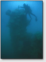 Даже на глубине 60 метров возле островков Нан-Мадола можно обнаружить руины разрушенных строений.