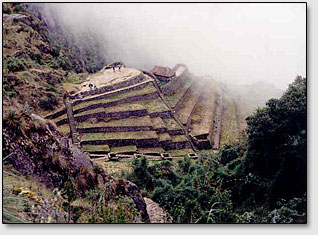Развалины древнего селения Фуйупатамарка (Phuyupatamarca), 3600 м над уровнем моря.
