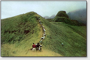 Местыне жители острова Рапа-Ити направляются на раскопки руин возле деревни Моронга Ута под руководством членов экспедиции Тура Хейердала (фото из книги Тур Хейердала Аку Аку).