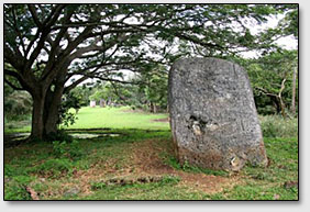 Эси [Esi] - отдельные мегалиты, которые можно найти в разных местах острова Тонгатапу.