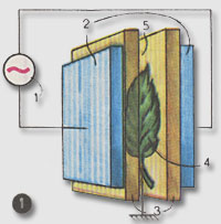 Рис. 1. Принципиальная схема кирлиан-прибора при снятии листочка растения. Цифрами обозначены: 1 - высокочастотный генератор переменного напряжения, 2 - электроды, 3 - фотобумага, 4 - листок растения, 5 - воздушный зазор.