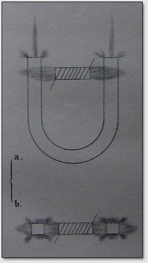 Рис. 7. Обычный подковообразный магнит и брусковый электромагнит с обмоткой из медной проволоки в положении один в другом. Вид сбоку (а) и вид сверху (b).