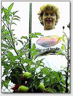 Фрау Кох из Бохума каждый день приветствовала свои томатные растения со словами "Доброе утро, дорогие помидоры!", которые стали в 1991 году названием одной из популярнейших серий телепередач Западно-Германского Телевидения (WDR).