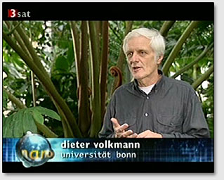 Дитер Фолькман говорит о разумной реакции растений.
