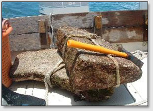 Небольшой каменный клин, поднятый на палубу корабля со дна океана из под блока "Дороги Бимини".