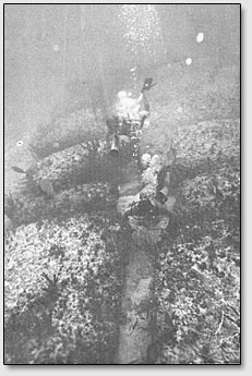Аквалангисты обследуют подводные мегалитические руины возле острова Бимини.