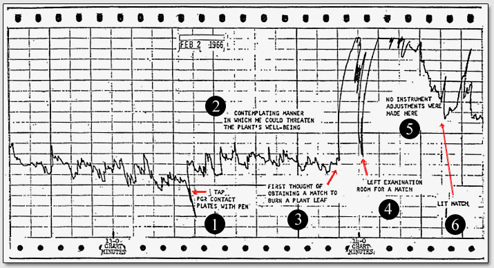 Рис. 2. Диаграмма от 2 февраля 1966 года показывает реакцию растения на мысль автора о поджоге подключенного к гальванометру листа этого растения.