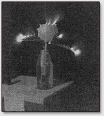 Объемное газоразрядное изображение бутона розы в воздушной атмосфере, сделанного с помощью аппарата Г5-00-01